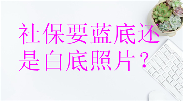 社保要蓝底还是白底照片？