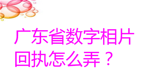 广东省数字相片回执怎么弄