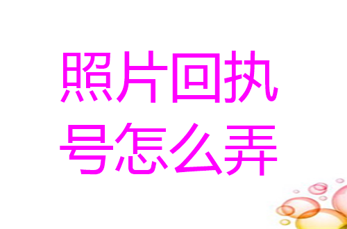 照片回执号怎么弄