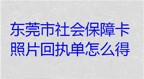 东莞市社会保障卡照片回执单怎么得
