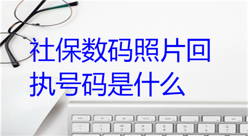 社保数码照片回执号码是什么