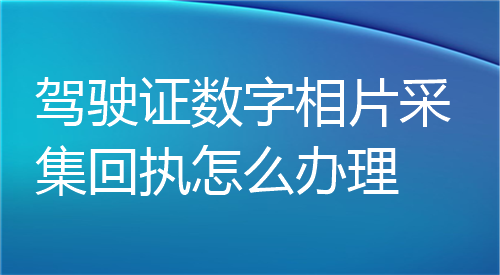 驾驶证数字相片采集回执怎么办理