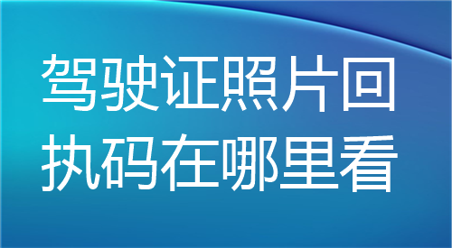 驾驶证照片回执码在哪里看