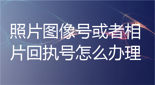 照片图像号或者相片回执号怎么办理？