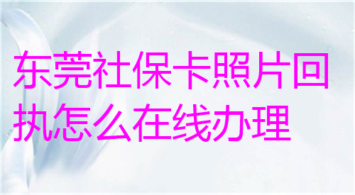 东莞社保卡照片回执怎么在线办理？