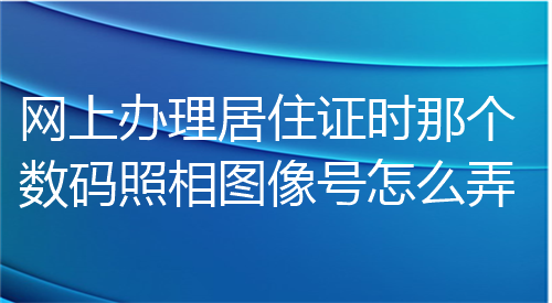 网上办理居住证时那个数码照相图像号怎么弄？
