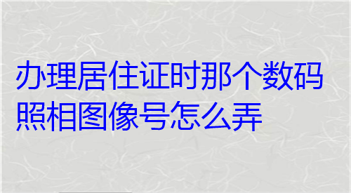 办理居住证时那个数码照相图像号怎么弄？