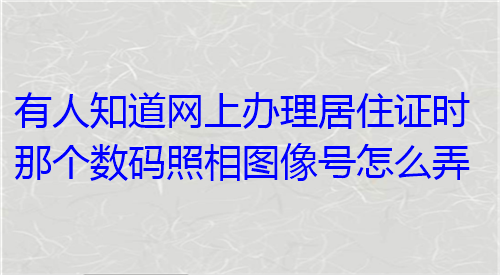 有人知道网上办理居住证时那个数码照相图像号怎么弄？