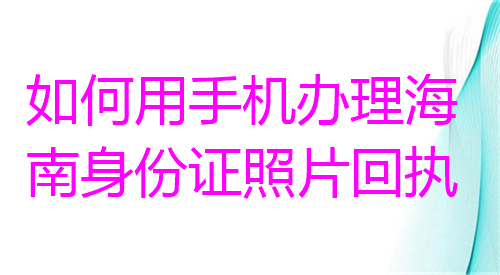 如何用手机办理海南身份证照片回执？