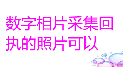 数字相片采集回执的照片可以