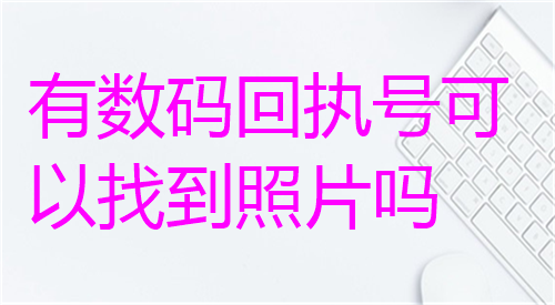 有数码回执号可以找到照片吗