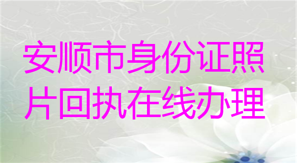 安顺市身份证照片回执在线办理