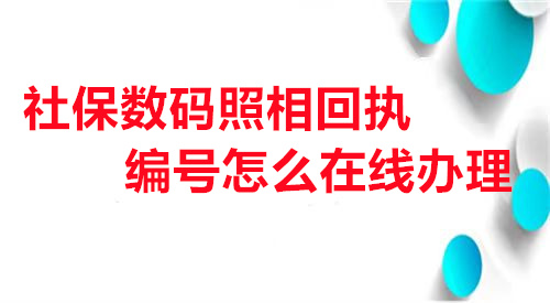 社保数码照相回执编号在在线办理