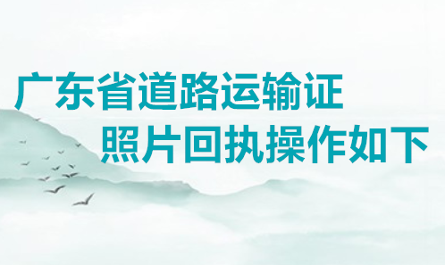 广东省道路运输证照片回执操作