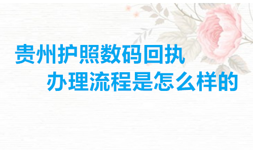 贵州护照数码回执办理流程是怎么样的