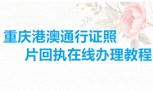 重庆港澳通行证照片回执在线办理教程