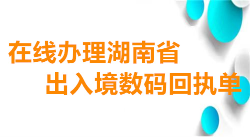 在线办理河南省出入境数码回执单