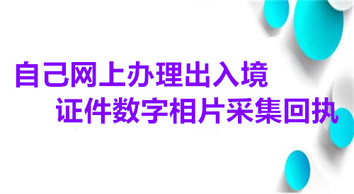 自己网上办理出入境证件数字相片采集回执