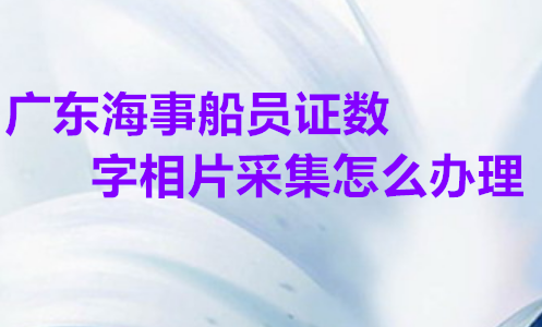 广东海事船员证数字相片采集回执怎么办理