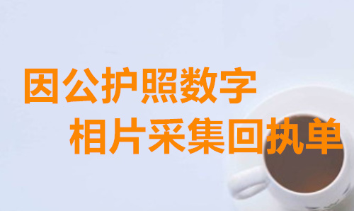 因公护照数字照片采集回执单