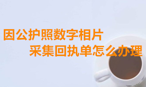 因公护照数字照片采集回执单怎么办理