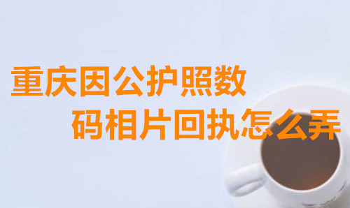 因公护照数字相片采集回执怎么弄