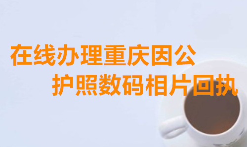 在线办理重庆因公护照数码相片回执
