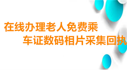 在线办理老人免费乘车证数码相片采集回执