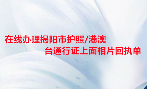 在线办理揭阳市护照/港澳通行证数码相片回执单