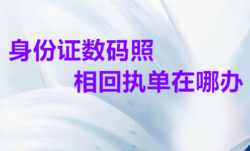身份证数码照相回执单在哪办