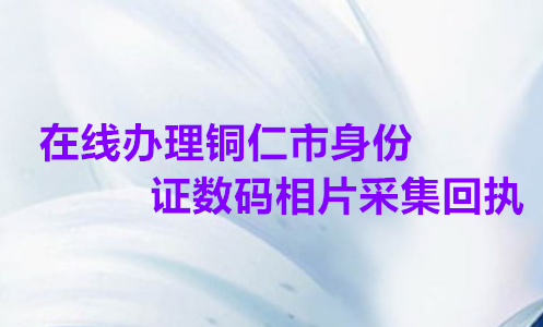 在线办理铜仁市身份证数码相片采集回执