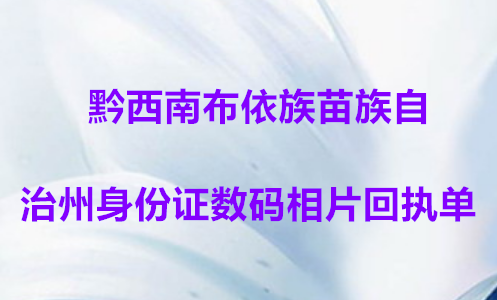 黔西南布依族苗族自治州身份证数码照片回执单
