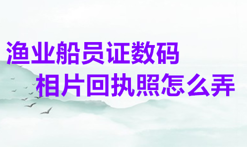渔业船员证数码相片回执怎么弄？