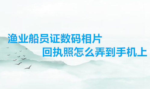 渔业船员数码相片回执照怎么弄到手机上