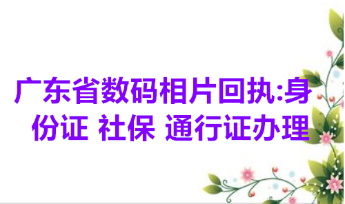 广东省数码相片回执：身份证 社保 通行证办理