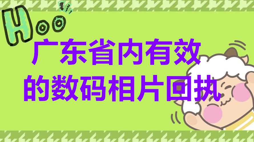 广东省内有效的数码相片回执