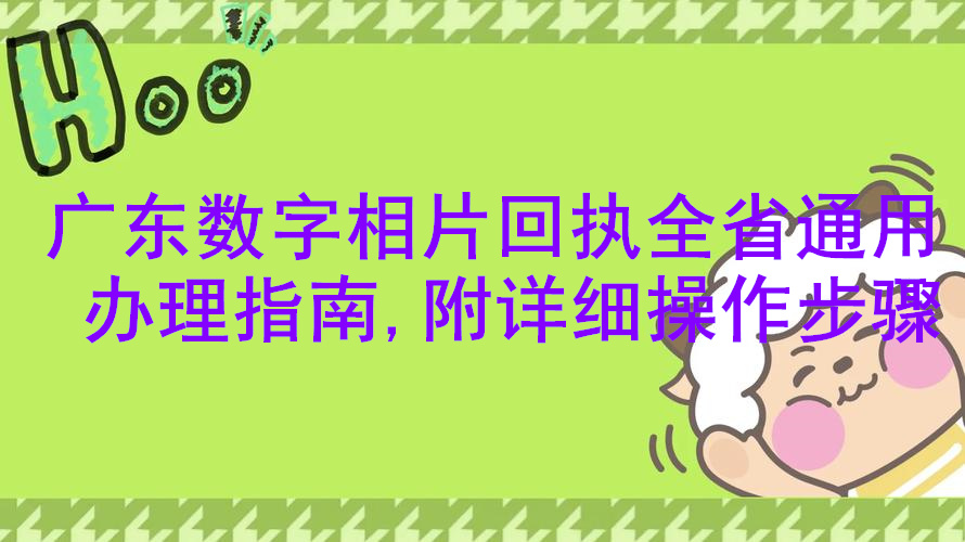 广东数字相片回执全省通用办理指南，附详细操作步骤